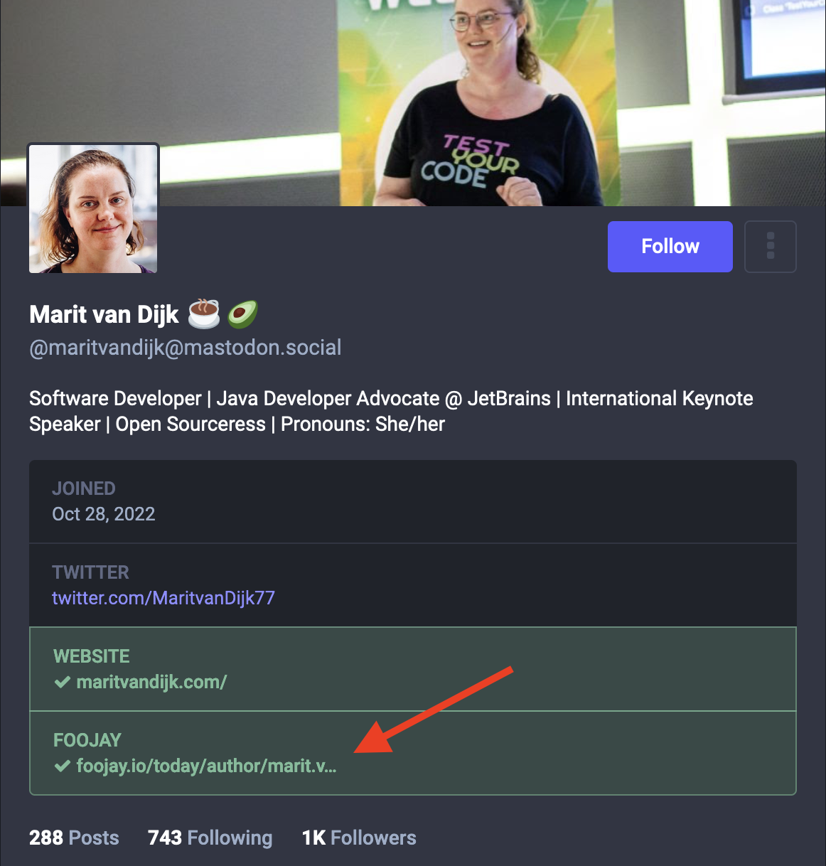 Marit van Dijk ☕️🥑 (@maritvandijk@mastodon.social) - Mastodon